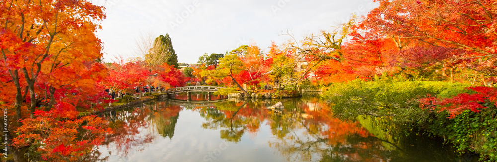 Autumn colorful Autumn colorful
