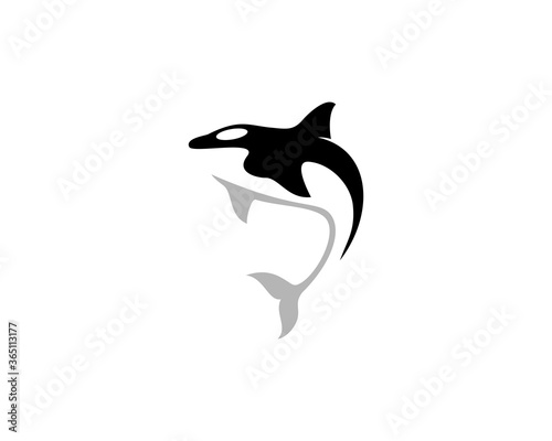 Killer whale abstract logo
