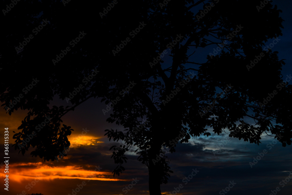 Fototapeta premium Wonderful Sunset