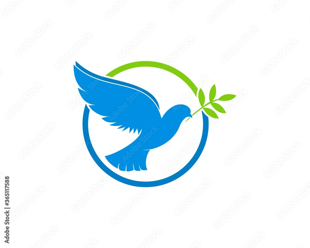 Obraz premium Flying pigeon bring a leaf