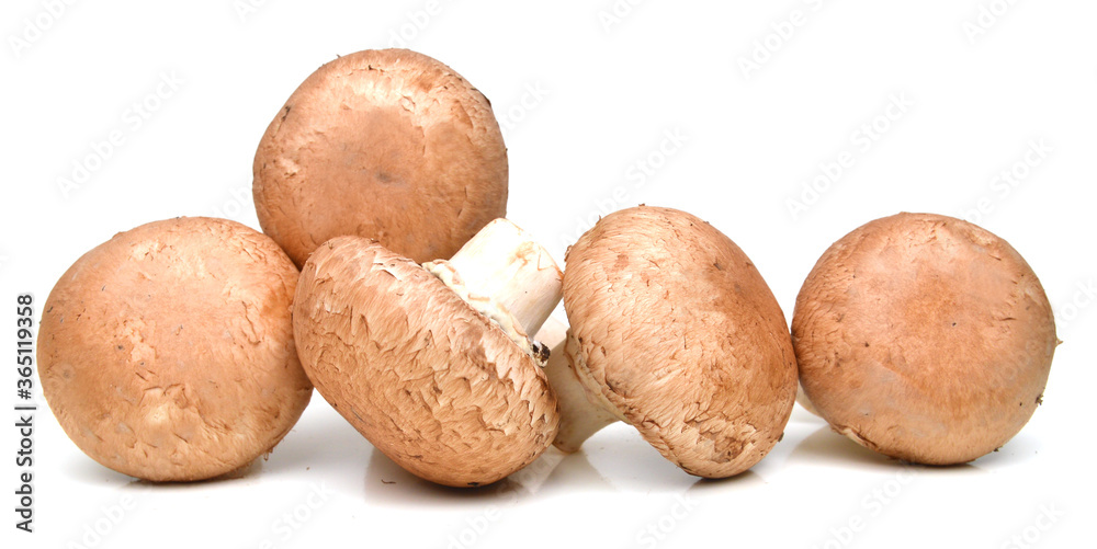 Brown champignon mushroom isolated on white background cutout Brown champignon mushroom isolated on white background cutout