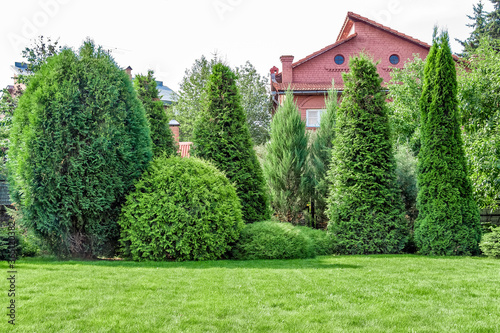 Landscaping of the backyard of a private house. Mowed lawn, decorative trees, flower beds.