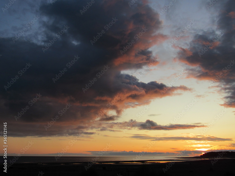 Fototapeta premium HOMER