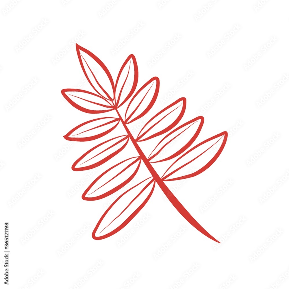 leaves on branch leaves on branch