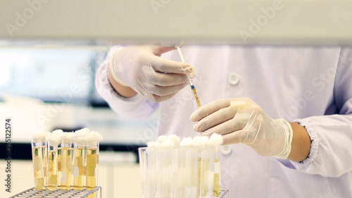 Scientist transfer sample using syringe, Most Probable number (MPN) technique for counting the Coliform bacteria cultured with Tryptose Lauryl broth in Test-tube yellow solution for analysis disease.