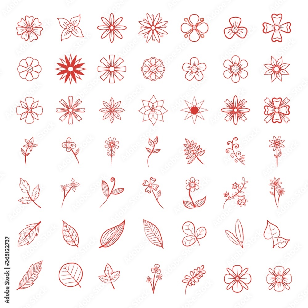 collection of flowers and leaves collection of flowers and leaves