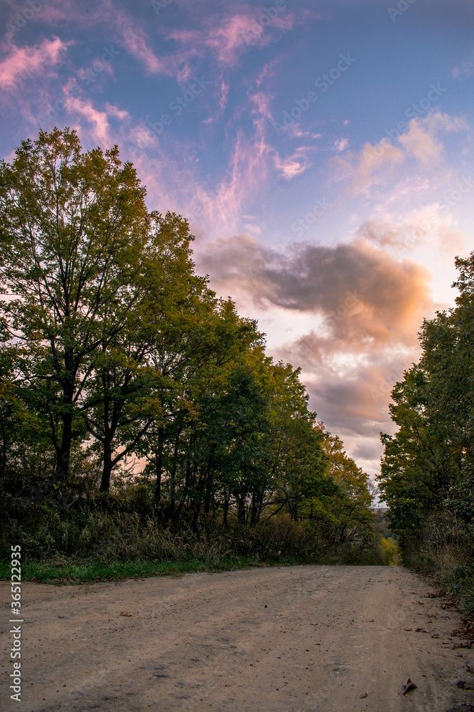 Forest road and sky lit by the sun at sunset Forest road and sky lit by the sun at sunset