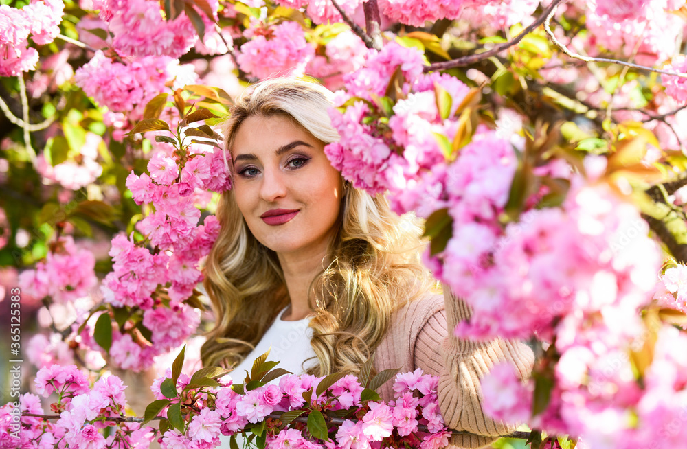 Diving into sakura bloom. Sakura flowers. Flower Extract. Essential Oils. Natural cosmetics. Female flower perfume. Pink flowers surrounding her. Spring nature. Cute woman makeup face blonde hair Diving into sakura bloom. Sakura flowers. Flower Extract. Essential Oils. Natural cosmetics. Female flower perfume. Pink flowers surrounding her. Spring nature. Cute woman makeup face blonde hair