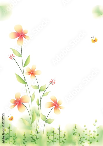 flower plant background