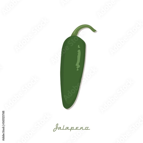 jalapeno pepper