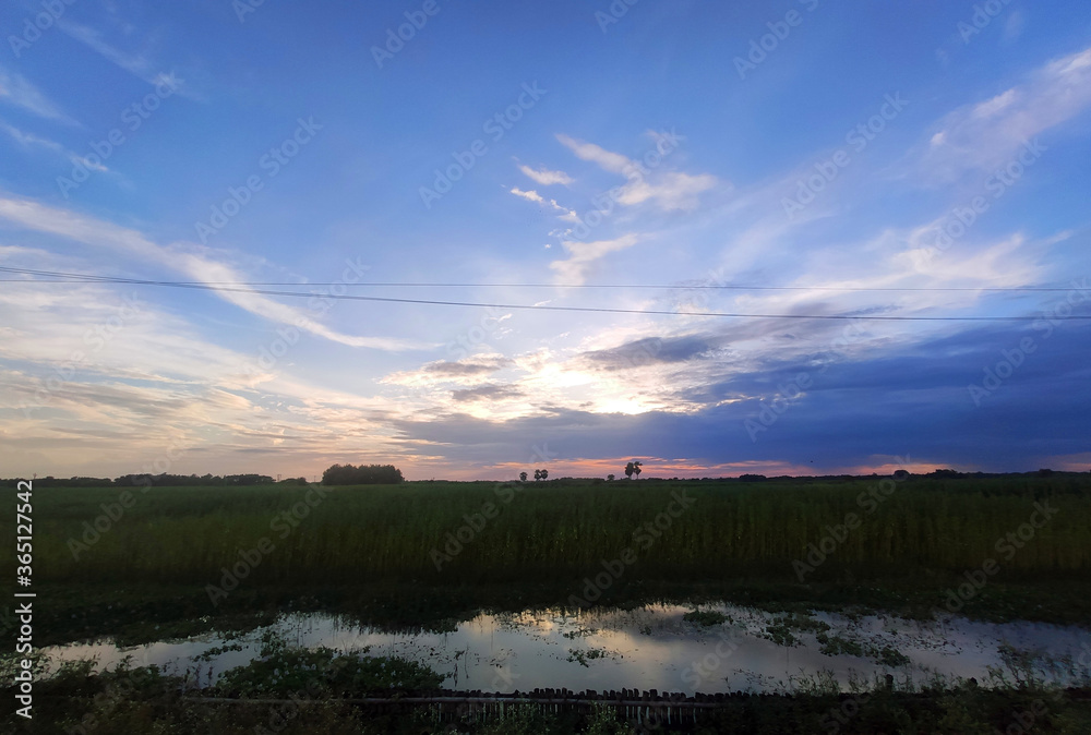 Clouds during sunset over the rice paddy fields after the rain