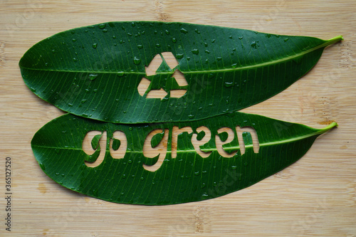 Go Green doodle lettering from fresh green leaf concept on rustic wooden board. Environment for earth day background, copy space for text