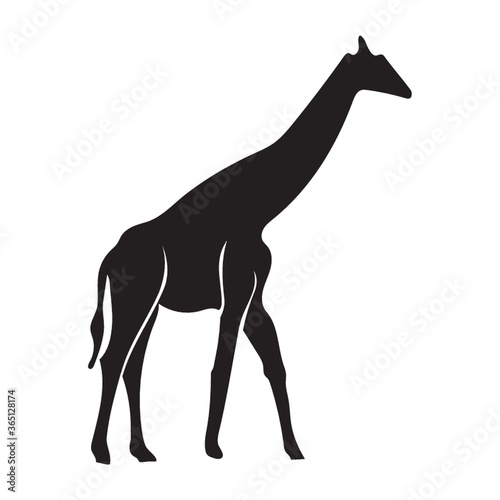 Canvas Print silhouette of giraffe