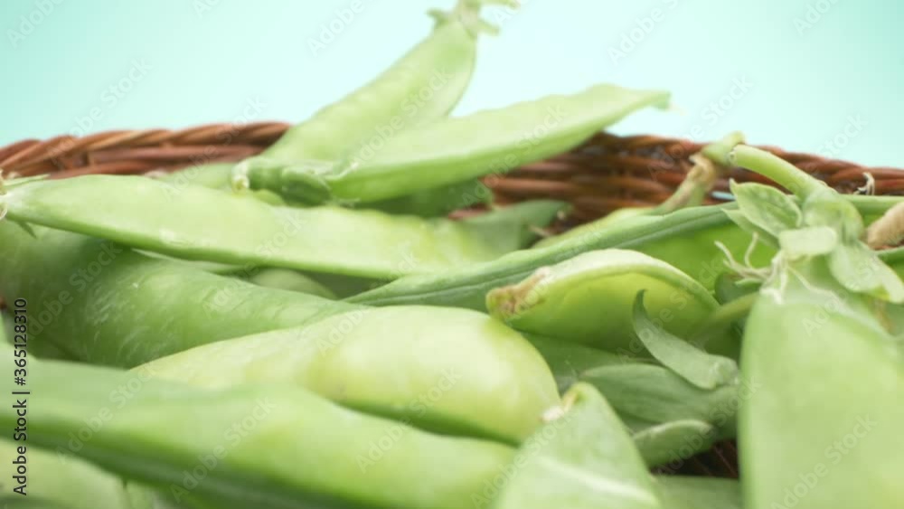 super closeup. details of green pea pods in a basket on a table super closeup. details of green pea pods in a basket on a table