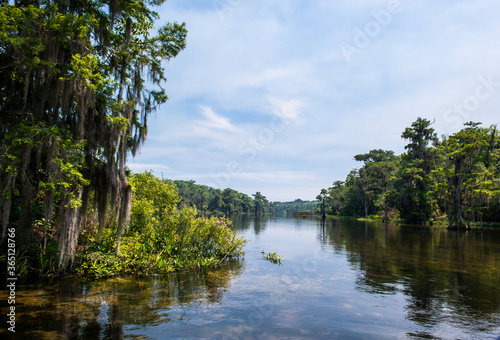 Beautiful and mysterious Wakulla spring state park Florida. Tillansia Spanish Moss, The filming location 