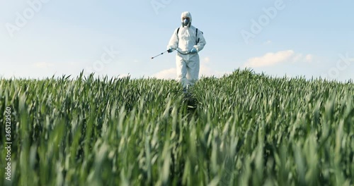 View from below on Caucasian male farmer in white protective costume, mask and goggles walking the green field and spraying pesticides with pulverizator. Man fumigating harvest with chemicals. photo