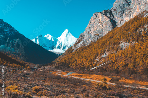 Colorful in autumn forest and snow mountain at Yading nature reserve