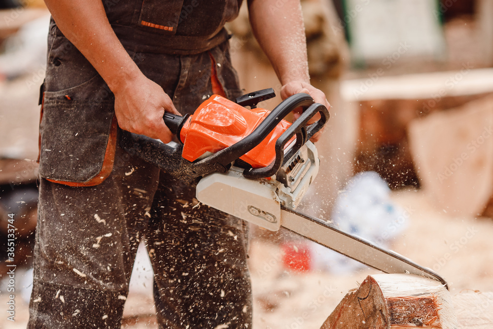 Close-up of woodcutter lumberjack is man chainsaw tree