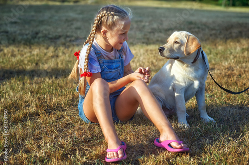 A little girl on a summer walk with a dog . Child and pet