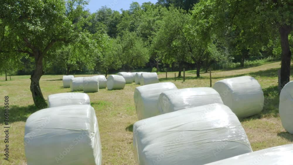 Packed hay piles in plastic at Slovenj Gradec rural, Slovenia Packed hay piles in plastic at Slovenj Gradec rural, Slovenia