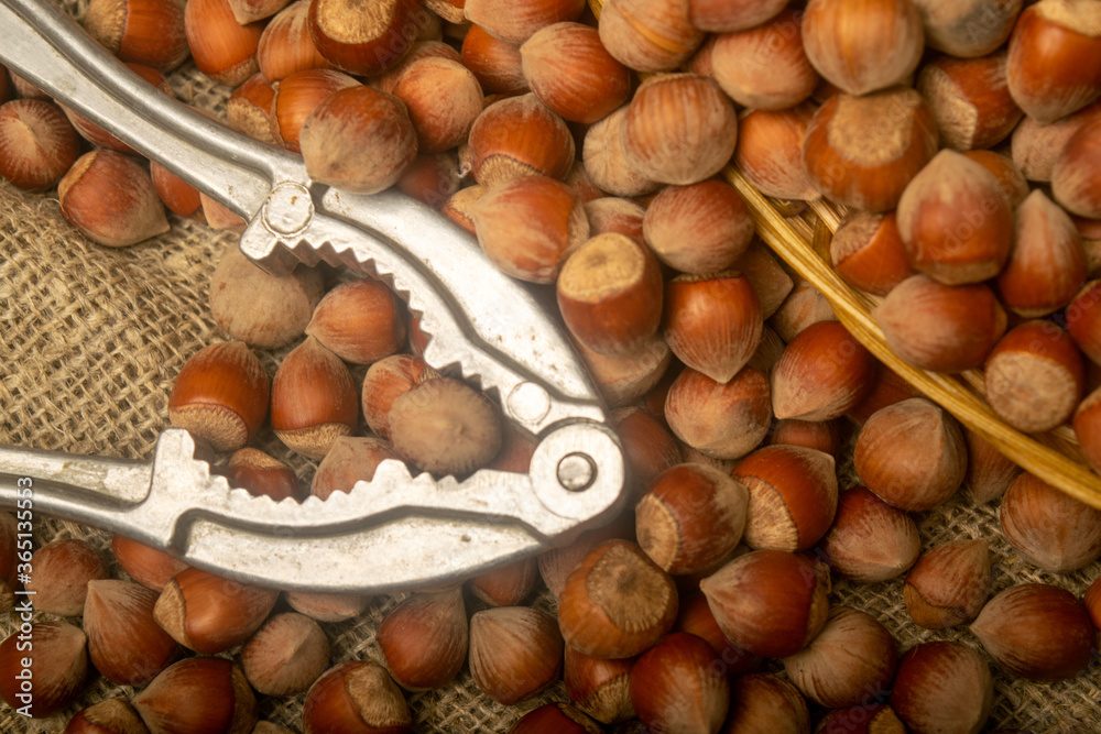 Hazelnuts in a wicker basket, a scattering of hazelnuts and a Nutcracker on the background of burlap with a rough texture. Close up. Hazelnuts in a wicker basket, a scattering of hazelnuts and a Nutcracker on the background of burlap with a rough texture. Close up.