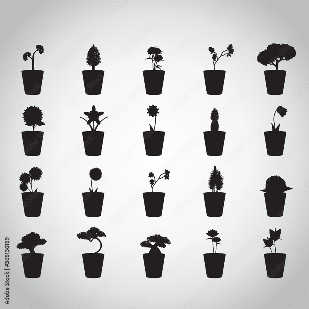 silhouette of potted plants silhouette of potted plants
