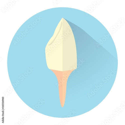 tooth