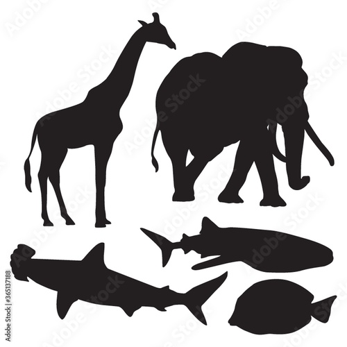 collection of animal silhouettes
