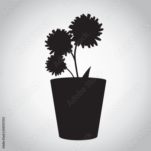 silhouette of potted plant with flowers