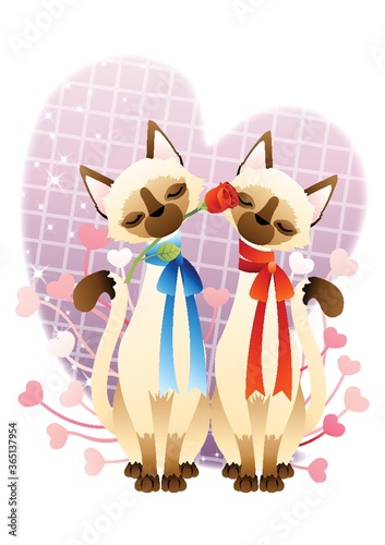 cats proposing love with rose