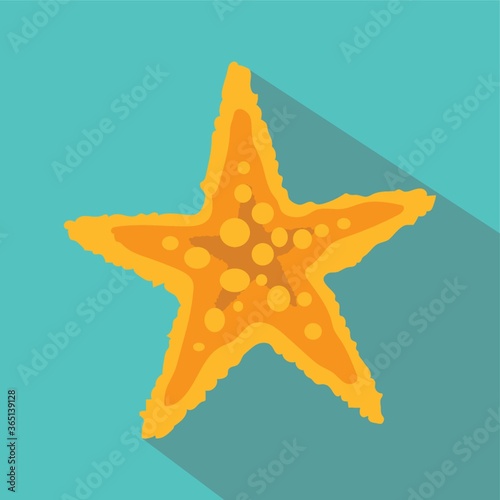 starfish