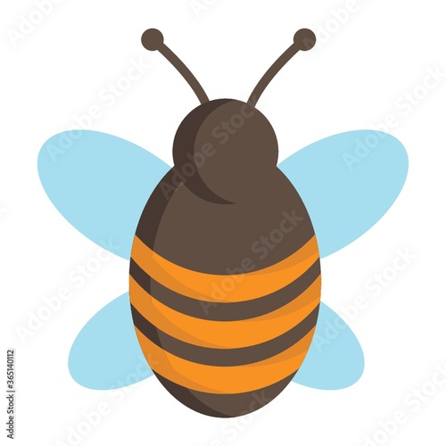 honeybee