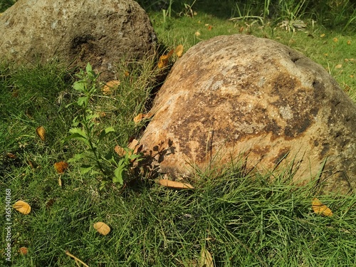 big rocks on the grass