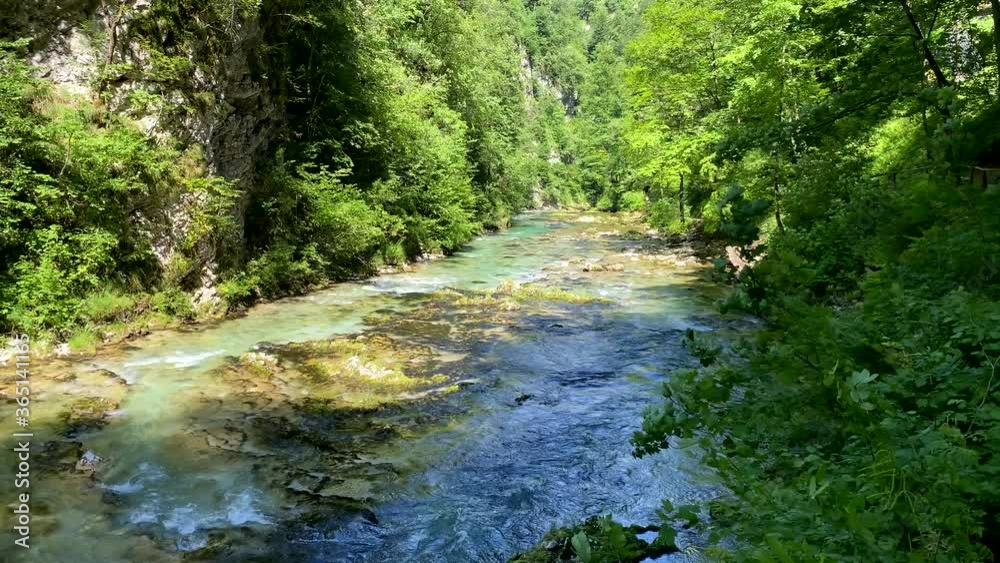 The Slovenian Alps river next to lake Bled 1 The Slovenian Alps river next to lake Bled 1