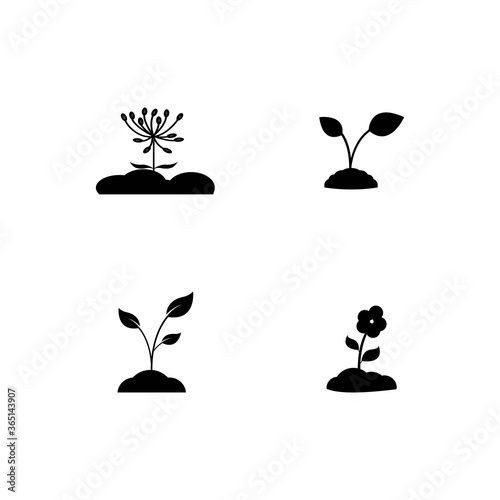 plant icon