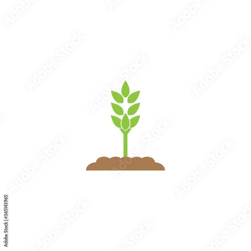 plant icon