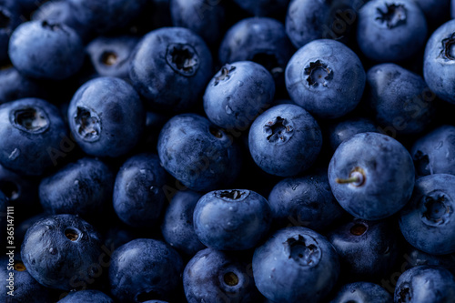 Fresh ripe blueberries background.Close up view. 