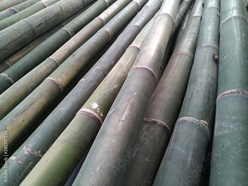 stack of bamboo