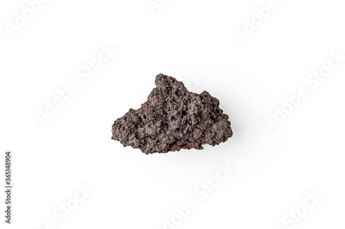 Vászonkép Fragment of volcanic lava stone or volcanic pumice with pores on a white background