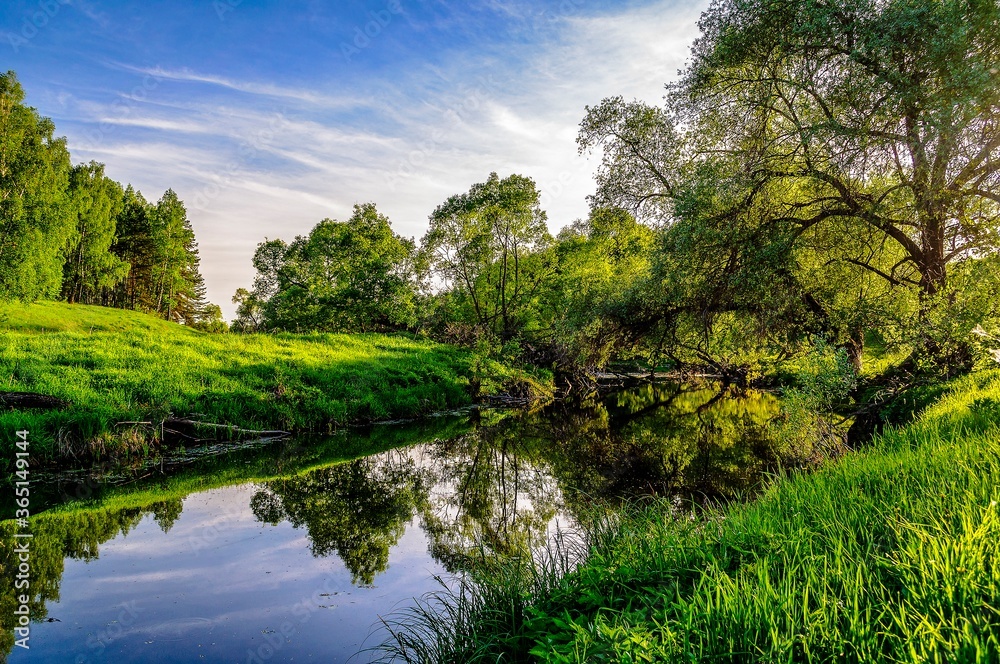 A small forest river and its banks on a spring evening. A small forest river and its banks on a spring evening.