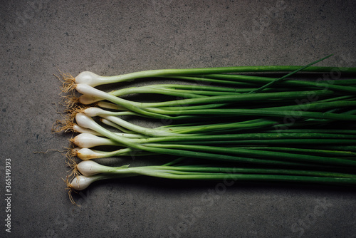 Young and fresh bunch of green onions or scallions placed on dark background. A rustic shot of spring onions from top angle.
