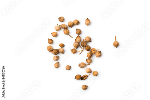 Coriander seeds isolated on white background