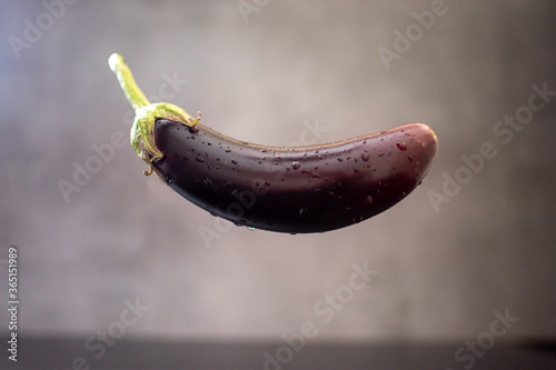 Floating eggplant on dark background, levitation of aubergine