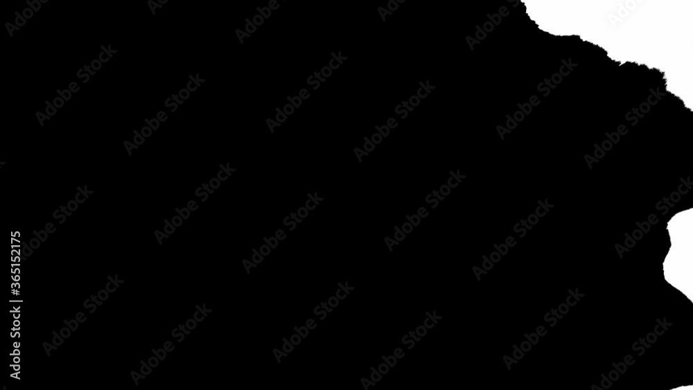 Ink Drops Transition on Black Background 4k Footage Ink Footage Transition White Ink Drops Falling on Black Background. Motion pack 05