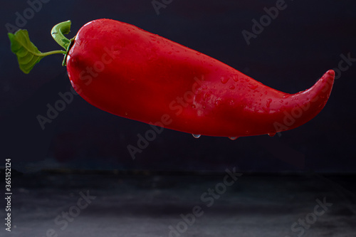 Floating red capia pepper with green leaf on it
