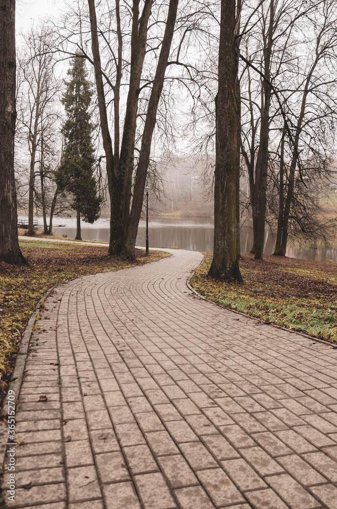 path in the park