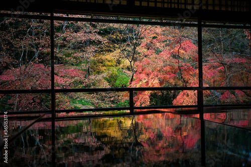 Autumn Tree in Rurikoin Temple, Kyoto, Japan © maodoltee