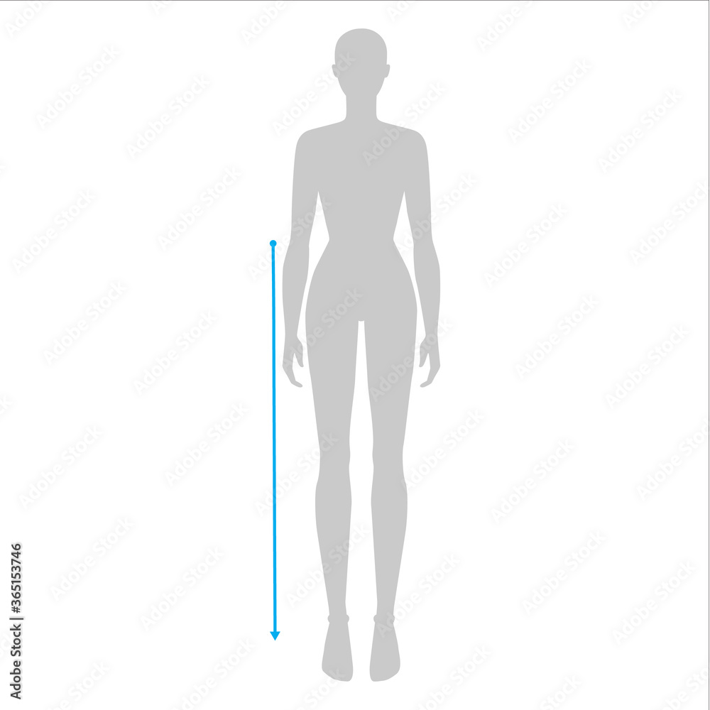 Women to do waist to floor measurement fashion Illustration for size chart. 7.5 head size girl for site or online shop. Human body infographic template for clothes. Women to do waist to floor measurement fashion Illustration for size chart. 7.5 head size girl for site or online shop. Human body infographic template for clothes.