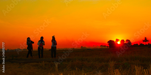 sunset in the field © Nurul