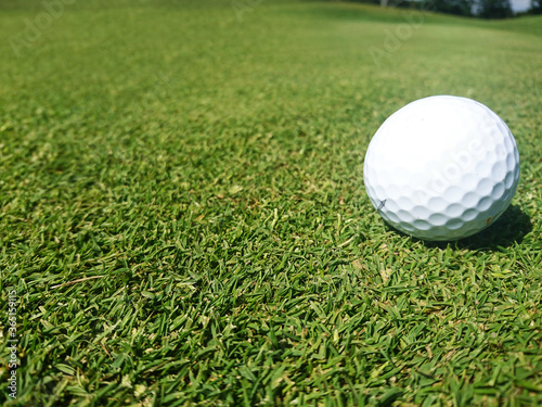 golf ball on a grassy golf course on a beautiful summer day